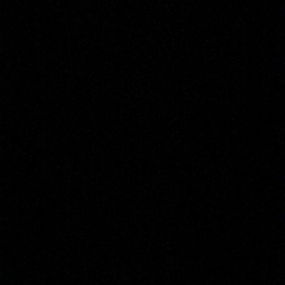 Meet your Posher, Hazel - Picture 1 of 1